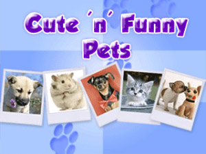 Cute n Funny Pets v2.8.9
