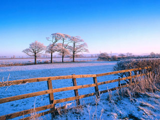 Frosty Countryside