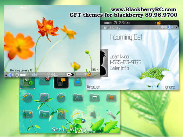 Download Theme Blackberry 8900 Javelin