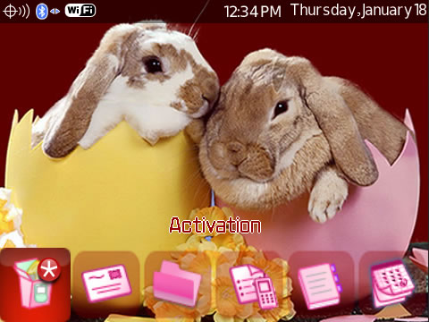 Easter Bunny for blackberry tour themes