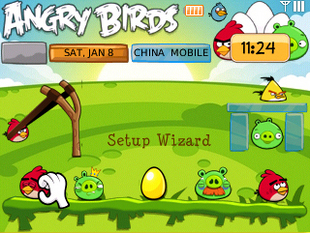 Angry Birds for blackberry 8xxx Themes