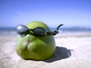Fruit with glasses desktop wallpapers