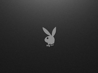 Playboy logo wallpaper for blackberry 9800