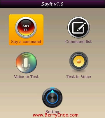 SayIt v1.1.0 for blackberry apps