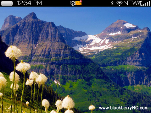 Bing Wall for blackberry 97xx,9650 bold themes