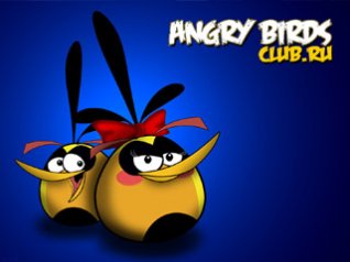Angry Birds for blackberry wallpapers