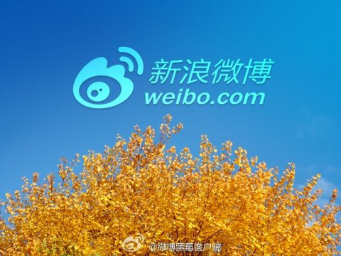 <b>Sina Weibo v3.1.0 demo</b>