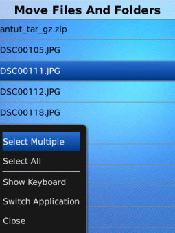 File and Folder Manager 1.0 for blackberry 95xx,98xx apps
