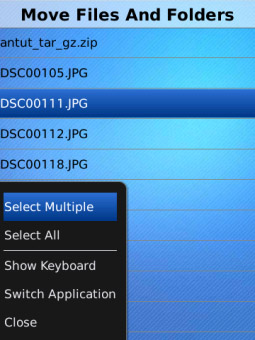 <b>File and Folder Manager 1.0 for blackberry 95xx,9</b>