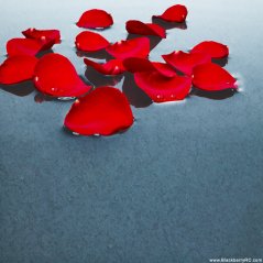 Red Petals - Q10 wallpaper