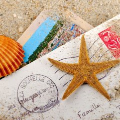 <b>Sand Starfish Shell Letter</b>
