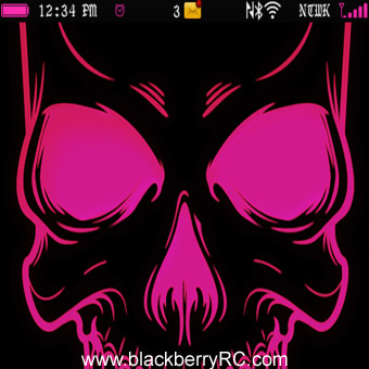 <b>Pink Punk Skull 99xx bold themes</b>